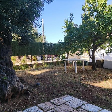 卡洛维诺Trullo Sole E Vento公寓 外观 照片